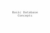 Basic Database Concepts