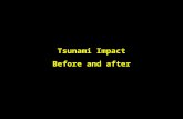 Tsunami Before & After