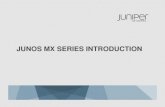 1.1. Introduction to MX & ACX Series