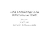 4. Social Determinants of Health (Social Epidemiology)