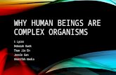 Why Human Beings Are Complex Organisms