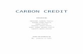 Carbon Credit.docx