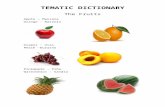 TEMATIC DICTIONARY.docx