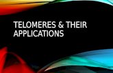 Telomeres & Their Applcations