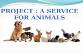A Service for Animals
