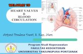 Materi AJar - Heart Valves & Blood Circulation