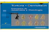 Tortora - Anatomia y Fisiologia Humana 11 Ed Espanol Full Optimado Lura