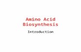 (8) AA Biosynthesis