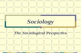 Class Sociological Perspectives
