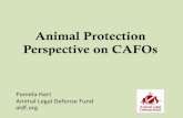 Hart - CAFO Animal Prot LA 3-28-2015