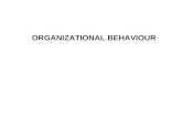 10 Organizational Behaviour 2