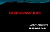 6#Radiologi Sistem Kardiovasuler
