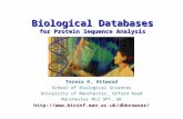 BIological database for protein sequence analysis