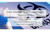 Safe Handling of Laboratory Specimens June 05