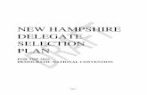 2016 New Hampshire Democratic Delegate Selection Plan (DRAFT)