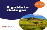 Sebastian Ramiro - Energy Essentials - Shale Gas Guide