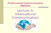 Lecture 5 Intercultural Comm HO