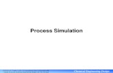 4 Process Simulation