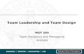 Team Leadership and Design Slides