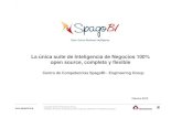 Introduccion a SpagobI