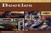 Livro Beetles of North America.pdf