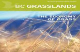 BC Grasslands Summer 2008