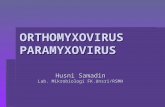 [MIKROBIOLOGI] IT 20 - Orthomyxovirus, Paramyxovirus - KHS
