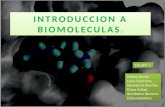 Introduccion a Biomoleculas