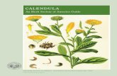 Calendula Guide