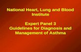 Astm bronsic ghid_expert_panel.ppt