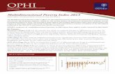 Multidimensional Poverty Index 2013