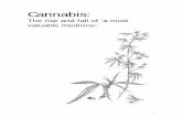 Cannabis - The Rise and Fall of a Most Valuable Medicine