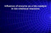 rates of reactions & enzymes.ppt