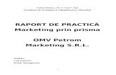 Raport de Practica - OMV Petrom