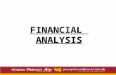 Financial Analysis Group