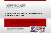 Gestion de La Integracion Project