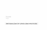 6 Lipid and Protein Metabolism S12 (Lecture 1)