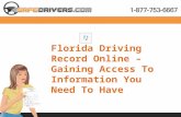 Florida Driving Record Online – Gaining Access To Information You Need To Have