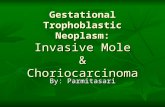 Gestational Trophoblastic Neoplasm