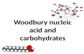Woodbury Nucleic Acid and Carbohydrate