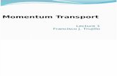 01 Momentum transport - Viscosity.pptx