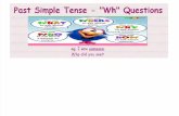 Wh Questions Past Tense-2