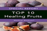 Healing Fruits Report