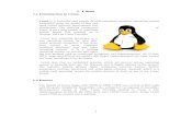 Ayush Ojha Linux Project