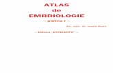 Atlas An 1 Sem 1