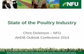 Poultry Market Overview and Outlook Chris Dickinson120214 1