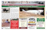 Northcountry News 2-27-15.pdf