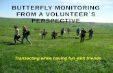 Butterfly Monitoring From a Volunteerc2b4s Perspective Sergiu Mocan