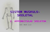 Appendicular Skeleton(12.03.08)