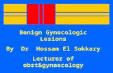 Benign Disease of the Genital Tract by Hossam El Sokkary - Copy